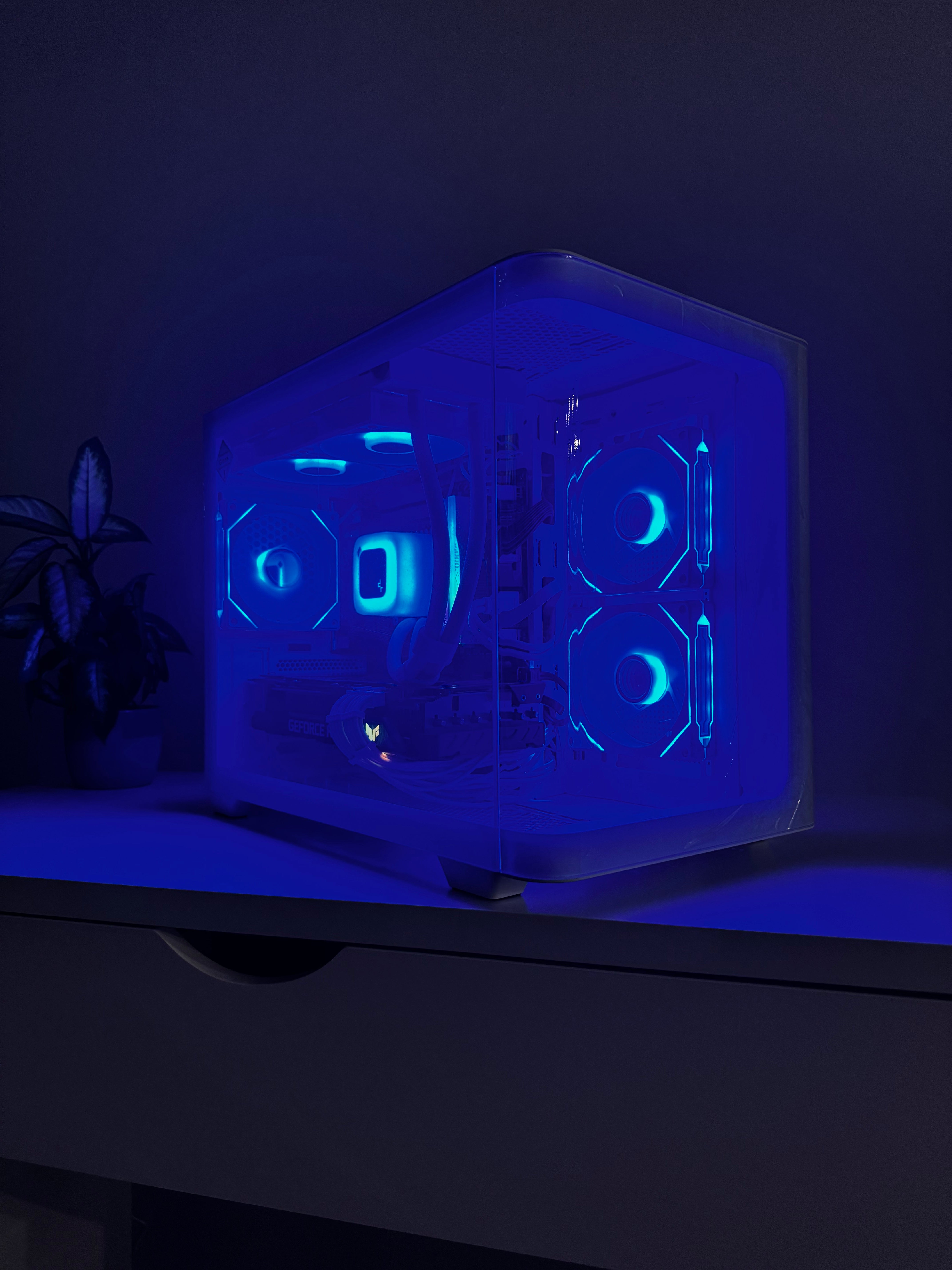 3090 24gb | i5 14600kf | 32gb ddr5 | 1tb | win 11