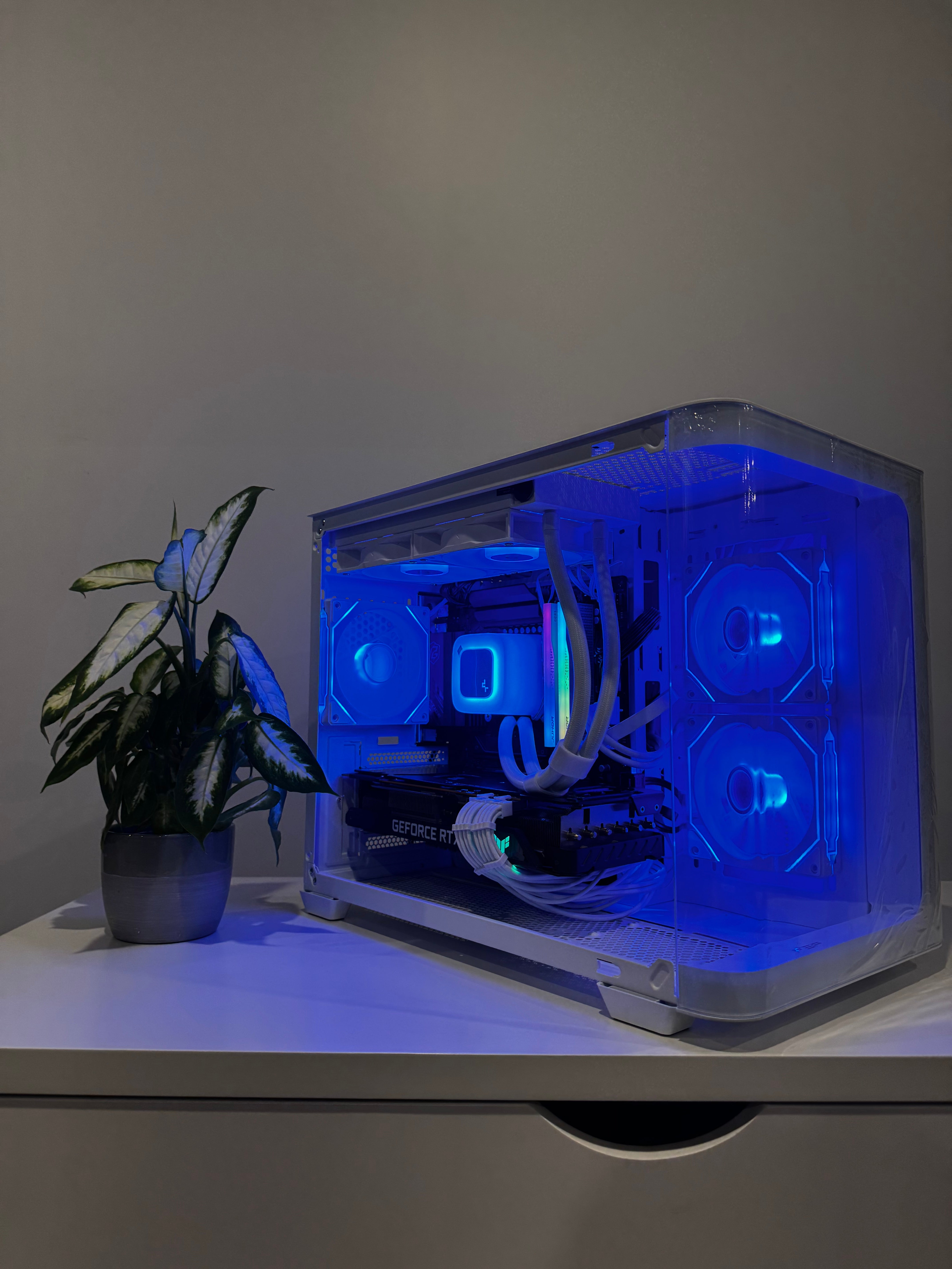 3090 24gb | i5 14600kf | 32gb ddr5 | 1tb | win 11